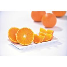 紅まどんな（7～8個入リ）1.5kg