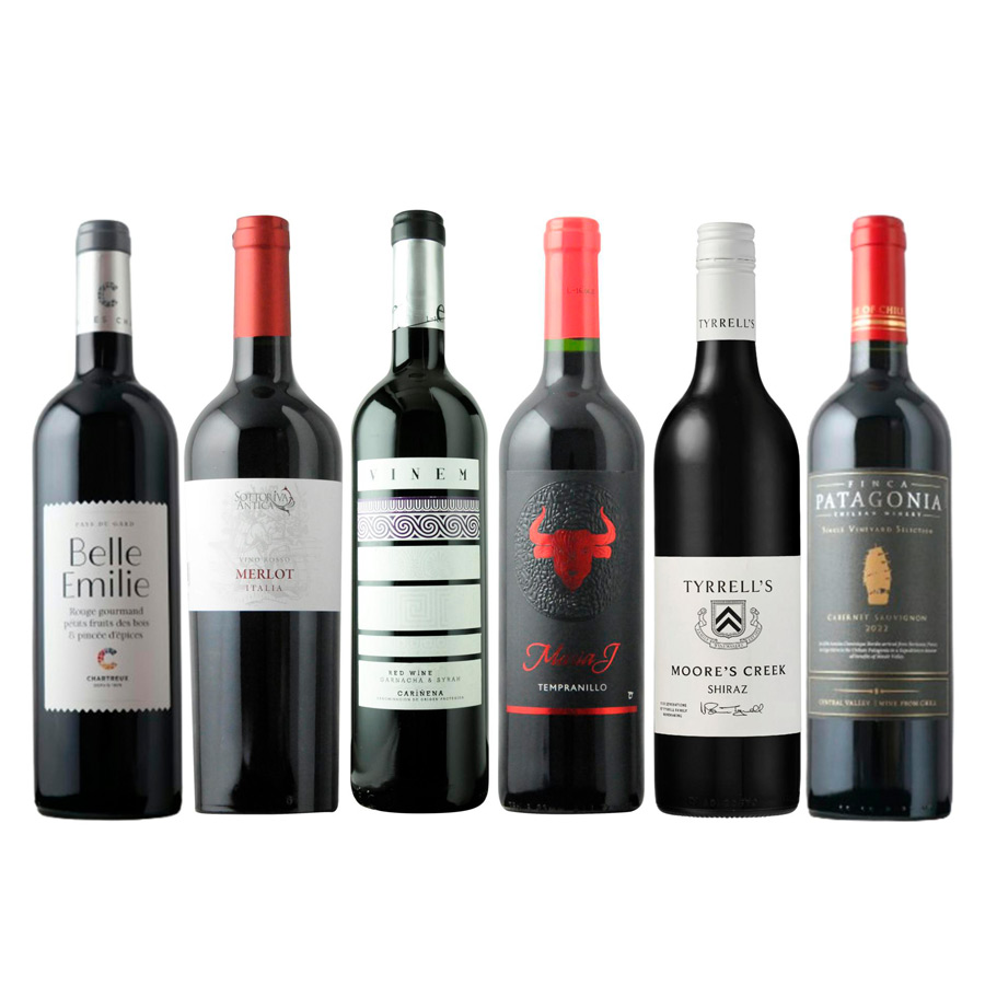 世界の赤ワイン飲みくらべ6本セット