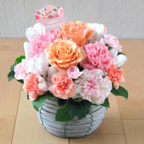 【母の日】生花アレンジメント「ロビン」