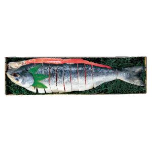 スッポン鍋 楽天市場】すっぽん鍋（サイズ（鍋・フライパン）26 ～ 30.9cm）（鍋