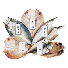 〈博多・ウエダ〉バラエティ一夜干し詰合せ