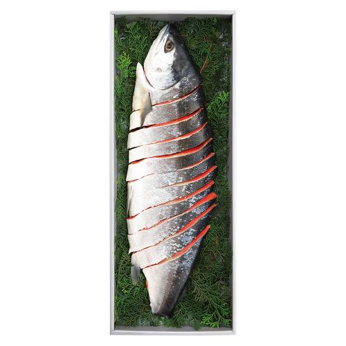 〈王子サーモン〉紅鮭姿つくり(半身)