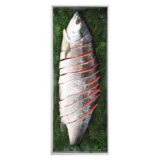 〈王子サーモン〉紅鮭姿つくり（半身）