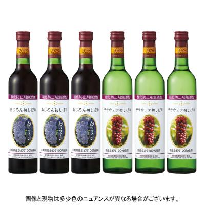 初しぼりワイン6本セット