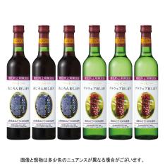 初しぼりワイン6本セット