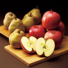 【最適な時期に収穫し、順次発送予定】〈山形・青森〉金系ラ・フランス＆りんご詰合せ