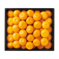 【最適な時期に収穫し、順次発送予定】〈和歌山〉有田みかん