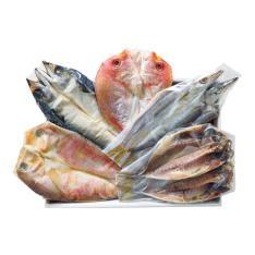 〈博多・ウエダ〉九州5種の一夜干し