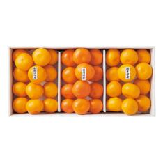 【最適な時期に収穫し、順次発送予定】〈和歌山・香川・熊本〉三産地みかん食べ比べ詰合せ