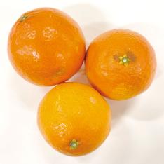 ◆愛媛県産 紅まどんな（訳あり）