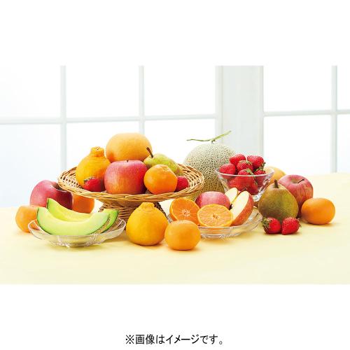 【定期便】季節のフルーツ（5-4月届け）