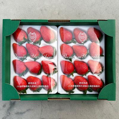 群馬県産 プレミアムやよい姫苺（24粒）