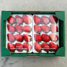 群馬県産 プレミアムやよい姫苺（24粒）