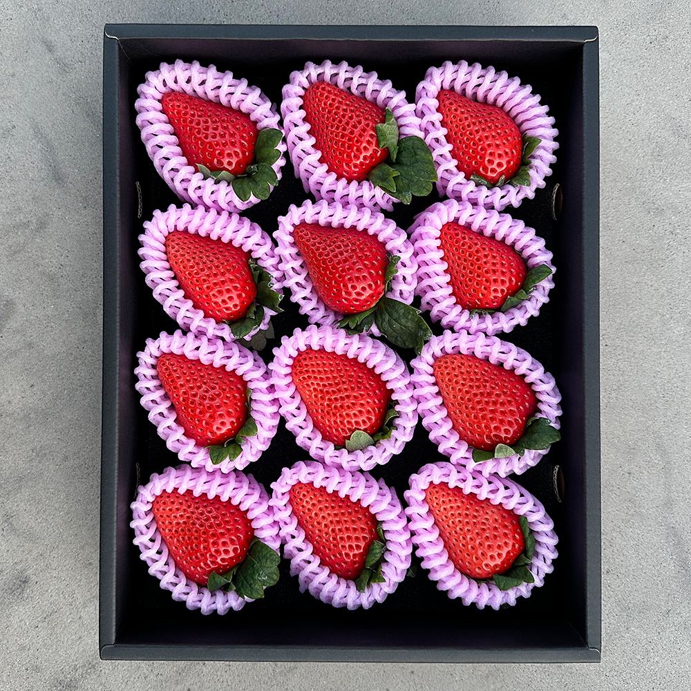 高知県産 おおきみ苺（9粒～15粒）