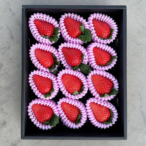 高知県産 おおきみ苺（9粒～15粒）