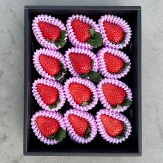 高知県産 おおきみ苺（9粒～15粒）