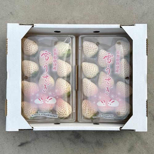 佐賀県産 雪うさぎ白苺（6粒～15粒・2パック入り）