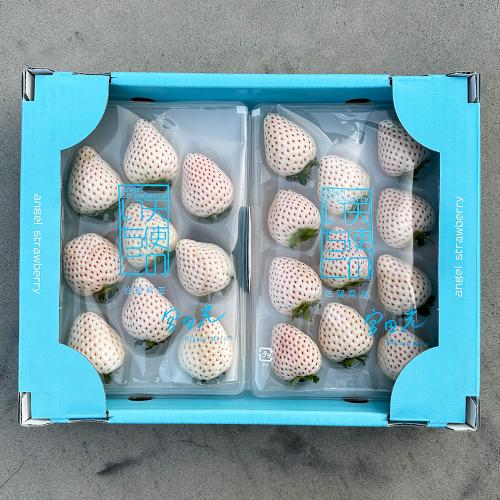 佐賀県産 天使の白苺（6粒～15粒・2パック入り）
