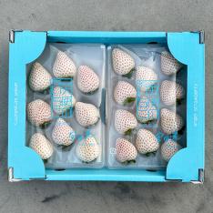 佐賀県産 天使の白苺（6粒～15粒・2パック入り）