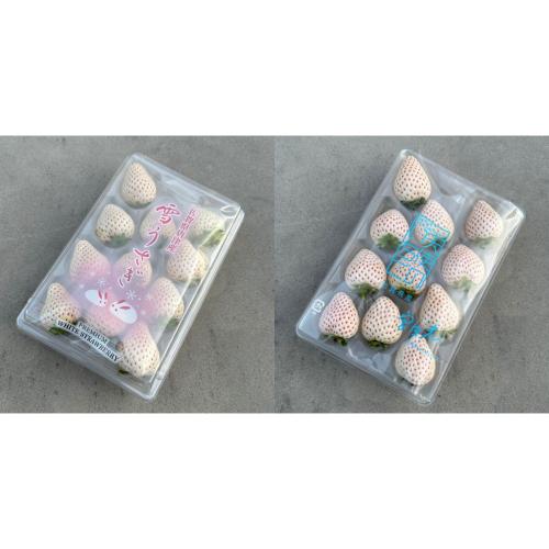 白苺2品種食べ比べセット（佐賀県産 雪うさぎ白苺・佐賀県産 天使の白苺 各1パック）