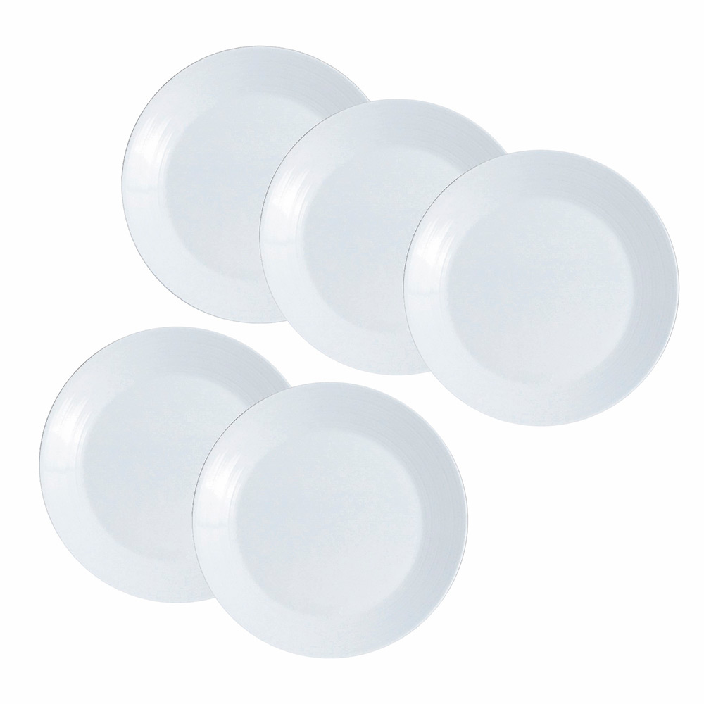 24cmプレートセット（5pc）