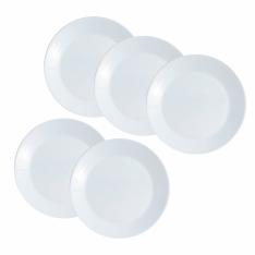 24cmプレートセット（5pc）