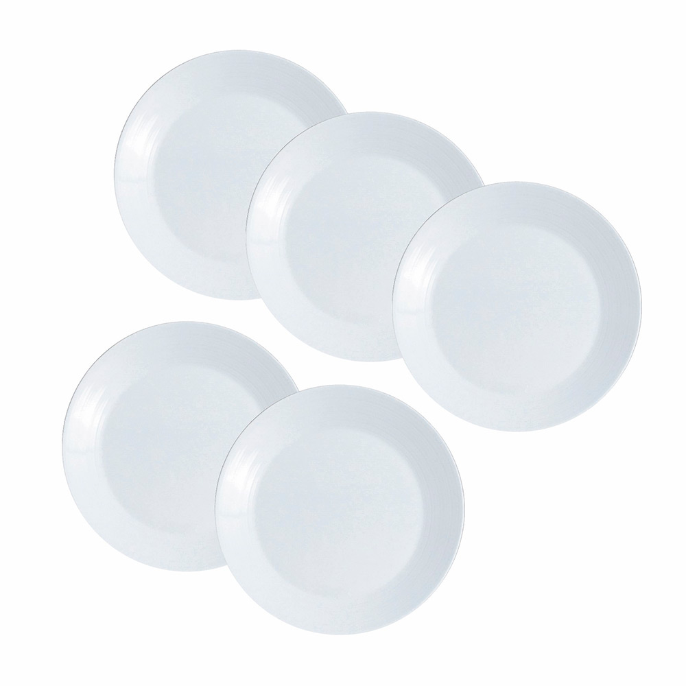 20cmプレートセット（5pc）