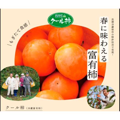 ＜グリーンライフはしもと＞クール柿