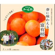 ＜グリーンライフはしもと＞クール柿