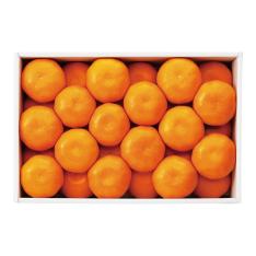 【最適な時期に収穫し、順次発送予定】国産みかん