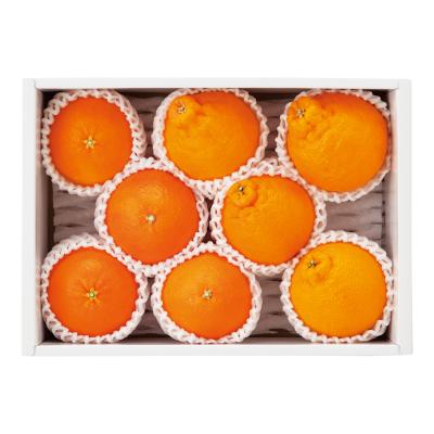 【最適な時期に収穫し、順次発送予定】〈愛媛・熊本〉紅まどんな・デコポン詰合せ