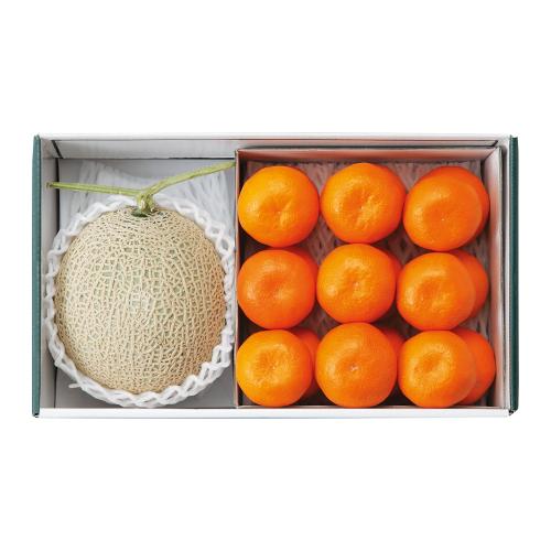 【最適な時期に収穫し、順次発送予定】メロン&みかん