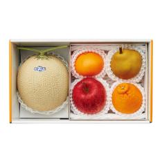 【最適な時期に収穫し、順次発送予定】マスクメロン＆フルーツアラカルト