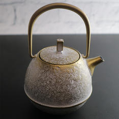 南部鉄急須　Egg　小　champagne（白金色）