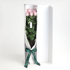 フレッシュローズギフトボックス Mサイズ（ムラサキ）