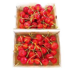 椎名果樹園の佐藤錦