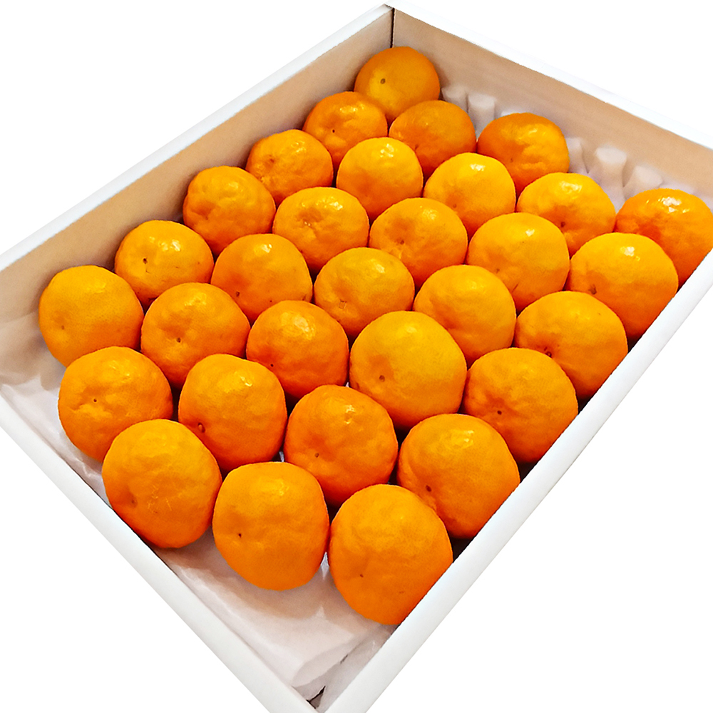 高知県産山北みかん2kg