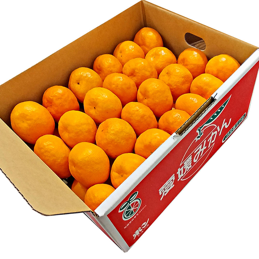 愛媛県産みかん3kg