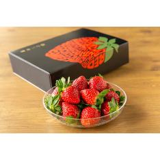 山形県産 鈴木さんのいちご「とちおとめ」