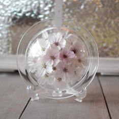 ボトルフラワー 桜ディッシュS