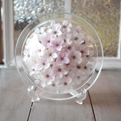 ドライフラワー | フラワー | 結婚内祝い｜結婚祝いのお返し人気ギフト