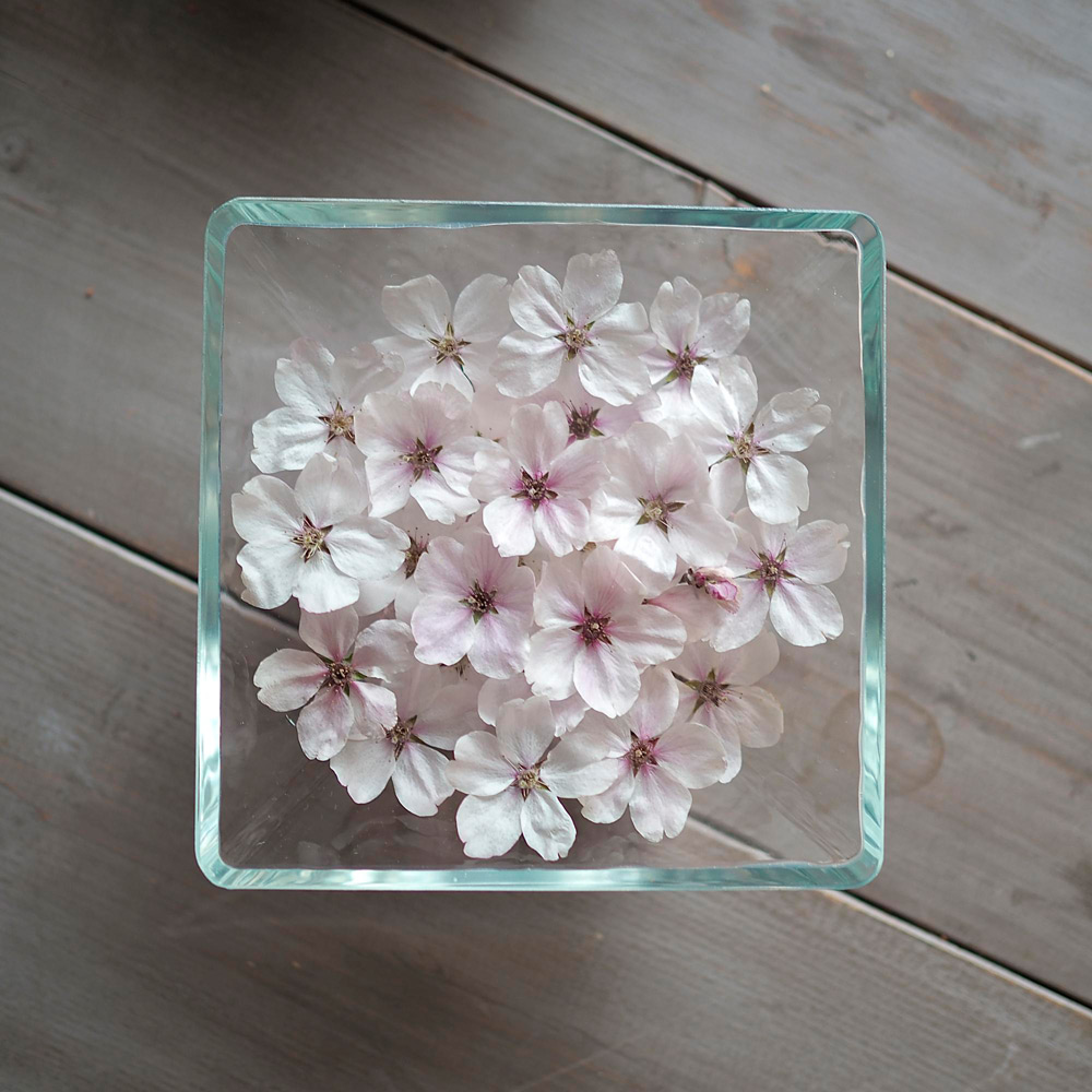 ボトルフラワー 桜スクエアM