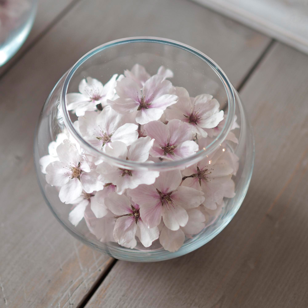 ボトルフラワー 桜ラウンドS