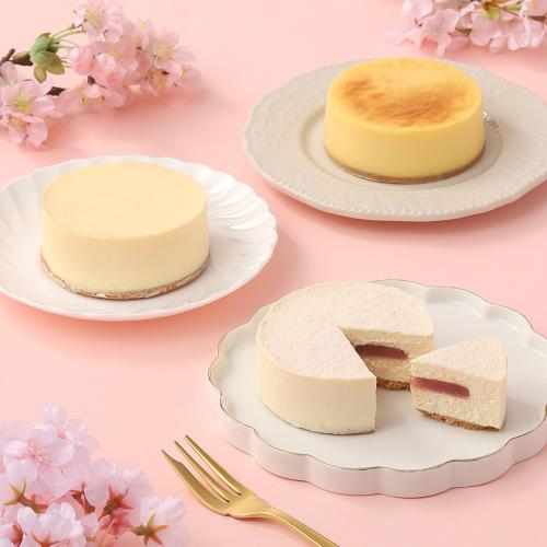 春のチーズケーキコレクション3P