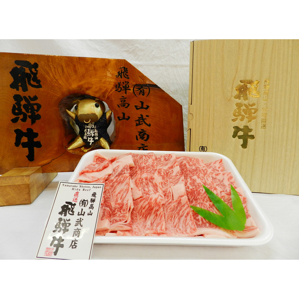 飛騨牛ロース焼肉用500g 商品詳細 高島屋オンラインストア