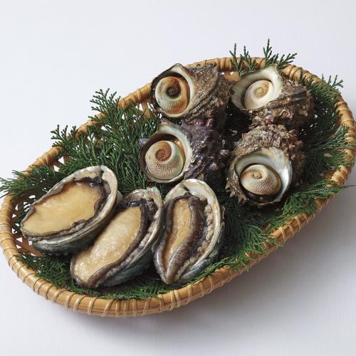〈熊本県天草〉あわび・さざえセット
