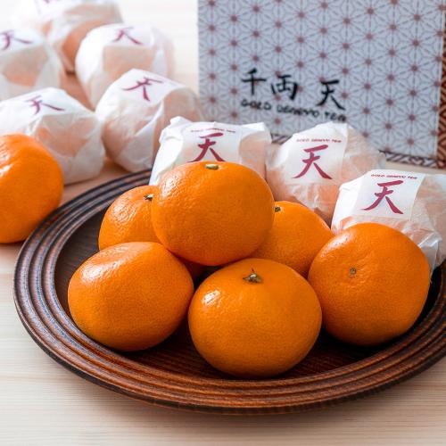 【最適な時期に収穫し、順次発送予定】日の丸みかん【千両】天