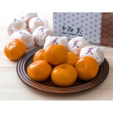 【最適な時期に収穫し、順次発送予定】日の丸みかん【千両】天