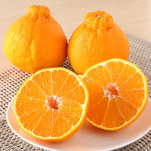 デコポン詰合せ