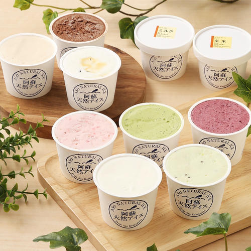 阿蘇天然アイス10個セット